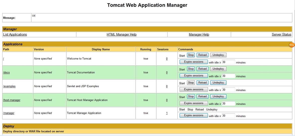 轻量级java web服务器--tomcat_tomcat   manage_03