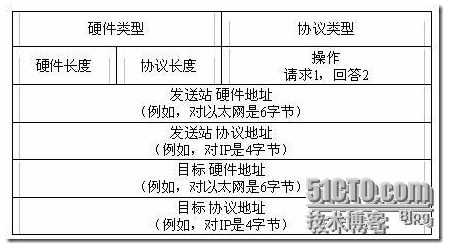 IP、TCP、UDP、ICMP头详解_协议_04