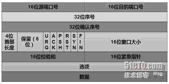 IP、TCP、UDP、ICMP头详解_协议_02