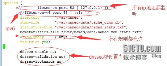 bind的介绍，安装及应用_dns