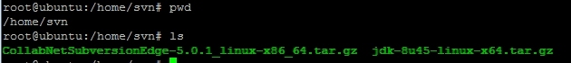 Ubuntu 安装 CollabNet Subversion Edge 5.0    (SVN)_Ubuntu_08