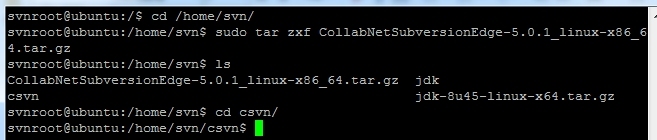 Ubuntu 安装 CollabNet Subversion Edge 5.0    (SVN)_svn_17