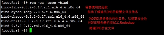 Centos6.5 DNS搭建 _bind