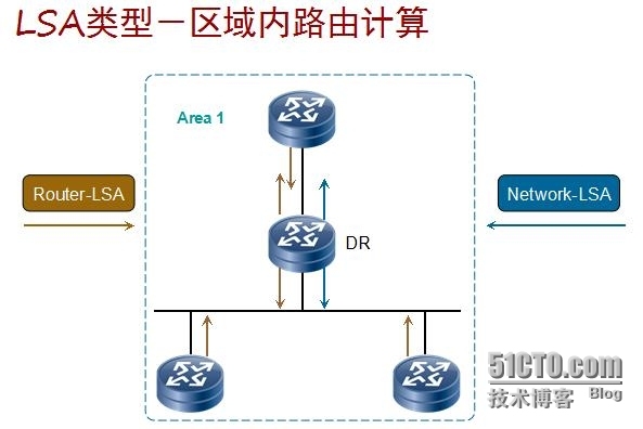 HCNP学习笔记之OSPF协议原理及配置5-LSA分析_HCNP OSPF LSA_03