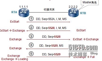 HCNP学习笔记之OSPF协议原理及配置4-邻接关系的建立和LSDB同步_HCNP OSPF 邻接关系_02