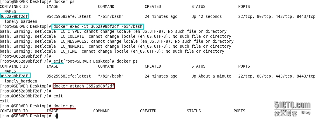 CENTOS6.5 下docker安装和配置_centos下 docker 搭建配置_05