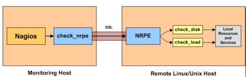 Nagios_nagios 详解_05
