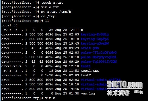 linux基本的命令（目录管理，文件管理命令）_文件管理命令_05