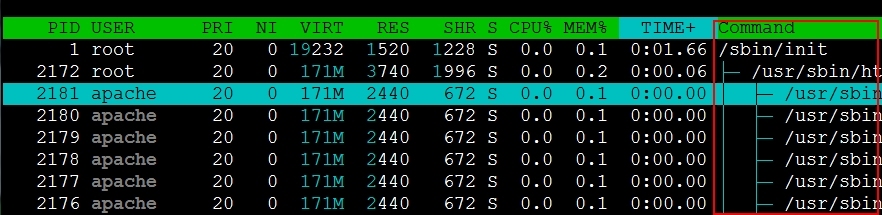 进程管理工具之top、htop、glances、dstat_进程管理类命令详解_05