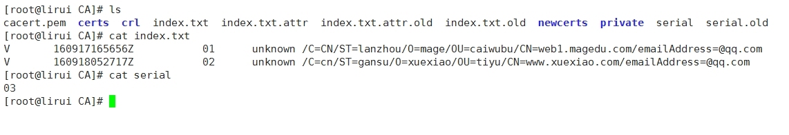 加密解密基础、PKI及SSL、创建私有CA_数据加密_24