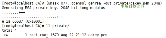 openssh及openssl创建私有CA_私有CA_06