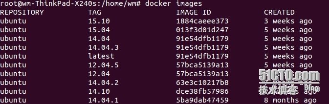 Ubuntu下安装配置Docker简要笔记_ 使用