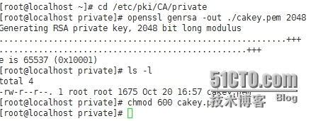 openssl工具的使用以及创建私有CA_openssl_02