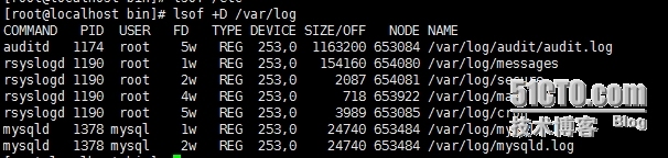 lsof__强大的系统监控、诊断命令_lsof  磁盘满  df  du_03