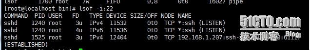 lsof__强大的系统监控、诊断命令_lsof  磁盘满  df  du_06