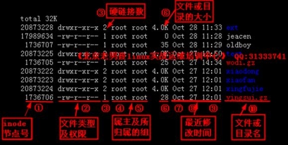 Linux文件和目录的属性及权限_文件权限_02