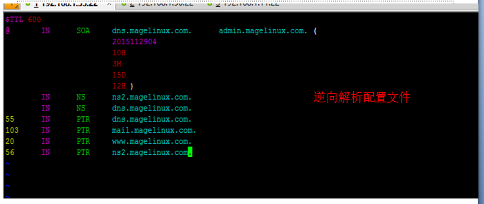 DNS主从服务器搭建_DNS服务器_05