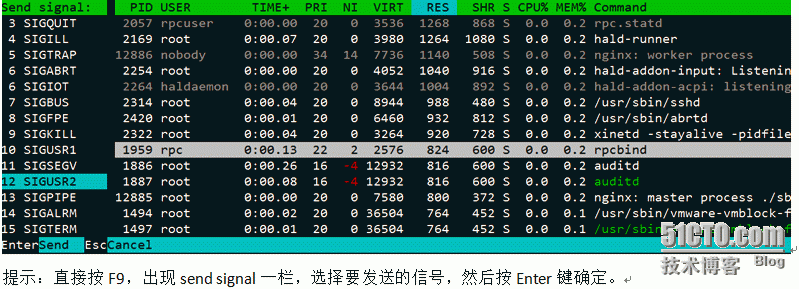 Linux之htop命令详解_htop_10