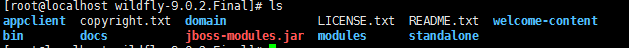 jboss进化版-wildfly 单机多实例 及域名配置_实例