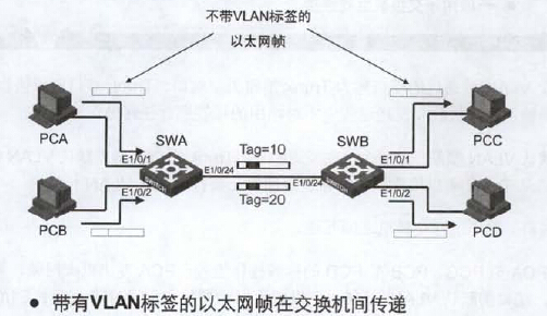 第十二章 配置VLAN_Network_13