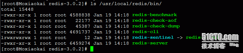 redis3.0.2 编译安装 (启动服务方式启动)_编译安装_03