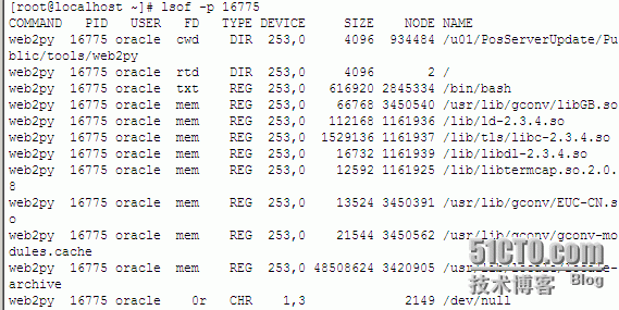 linux命令之lsof_lsof_09