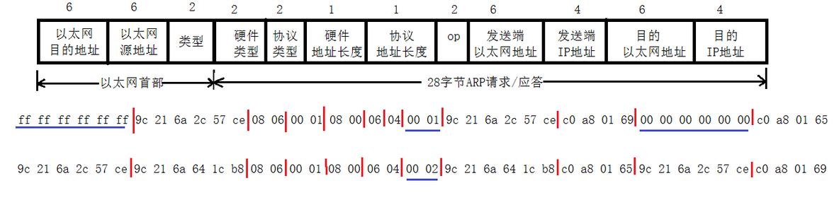 ARP数据报_IP地址_02