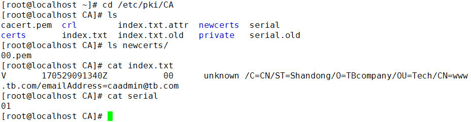 Linux上使用openssl实现模拟CA_openssl_03