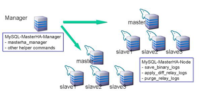 mysql高可用集群之MHA和Galera Cluster_集群_03