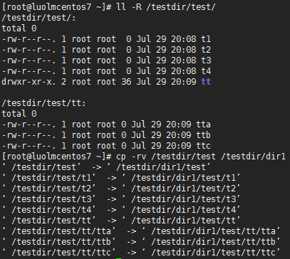 Linux文件与目录管理之：cp,mv,rm_cp_05