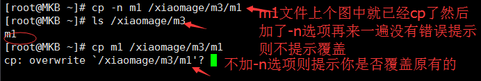 cp复制文件和目录的使用举例_新建_04