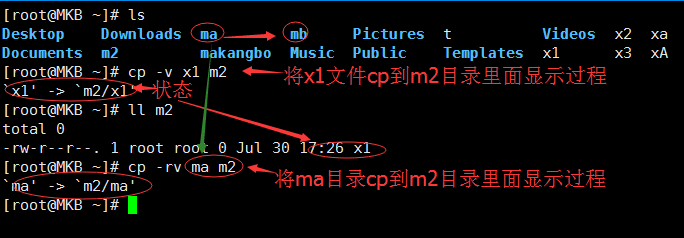 cp复制文件和目录的使用举例_源文件_08