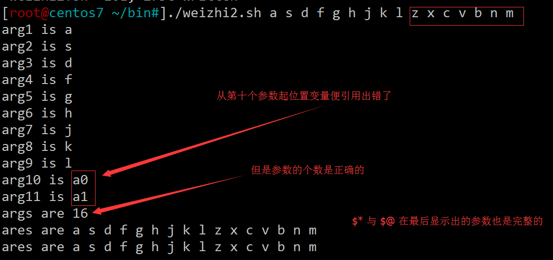 bash编程初体验之正则_bash_18