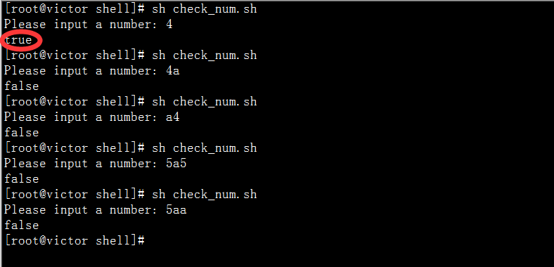 shell 如何判断用户从键盘输入的变量是否为数字_用户_04
