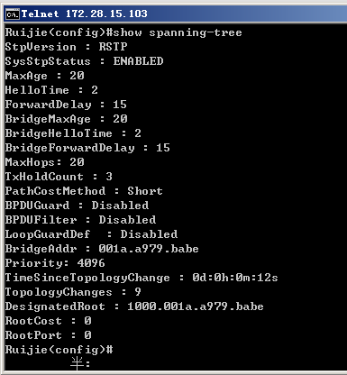 交换机生成树协议配置_网络_13