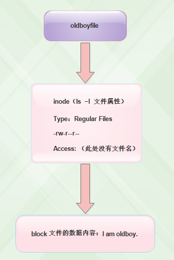 linux 文件或目录的权限和属性_目录_03