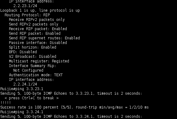 RIPv2配置_network_07
