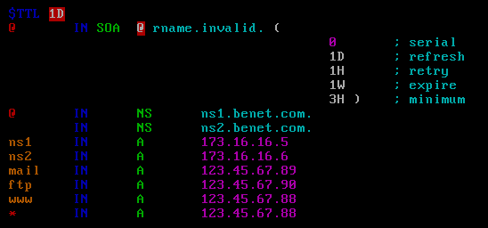 Linux系统中构建主、从域名服务器_DNS_16