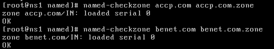 Linux系统中构建主、从域名服务器_DNS_21