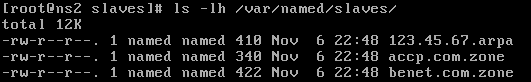 Linux系统中构建主、从域名服务器_DNS_31