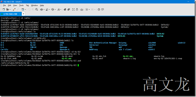 Vmware Vsphere (ESXI)嵌套虚拟化_ESX_04