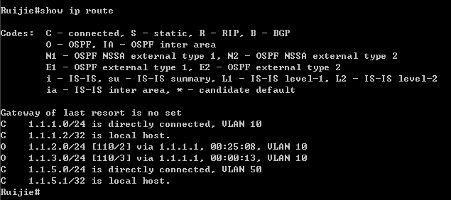 实验九：OSPF基本配置_拓扑图_11