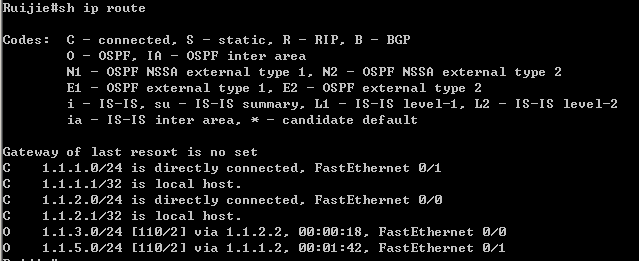 实验九：OSPF基本配置_拓扑图_13