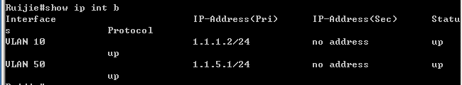 实验九：OSPF基本配置_交换机_10