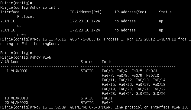 ospf的基本配置_交换机_02