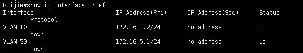 OSPF 基本配置_交换机_18