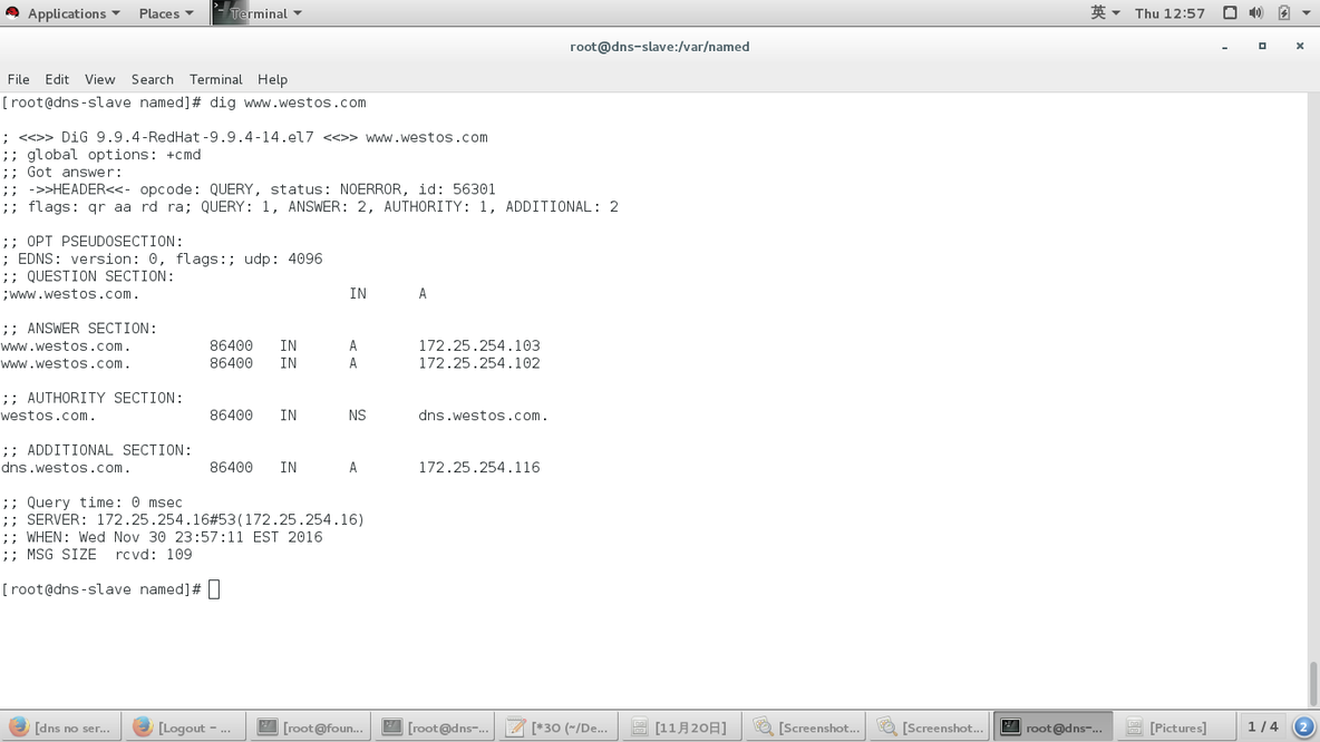 dns,mariadb.邮件服务_mysql_05