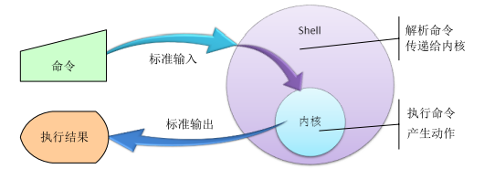 第一章 Shell基础知识_变量