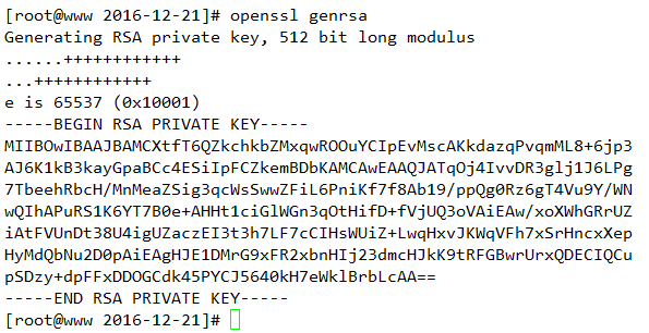 ssl协议、openssl以及创建私有CA_Linux_21