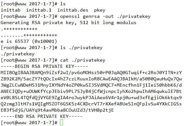 ssl协议、openssl以及创建私有CA_其他_23